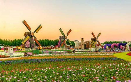 Dubai Miracle Garden được ghi trong Sách kỷ lục Guinness là khu vườn lớn nhất thế giới với tổng diện tích 72.000 m2. Đây là khu  vườn hoa đẹp với 45 triệu bông hoa rực rỡ khoe sắc giữa sa mạc.